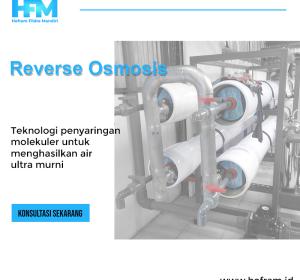 Reverse Osmosis (RO)